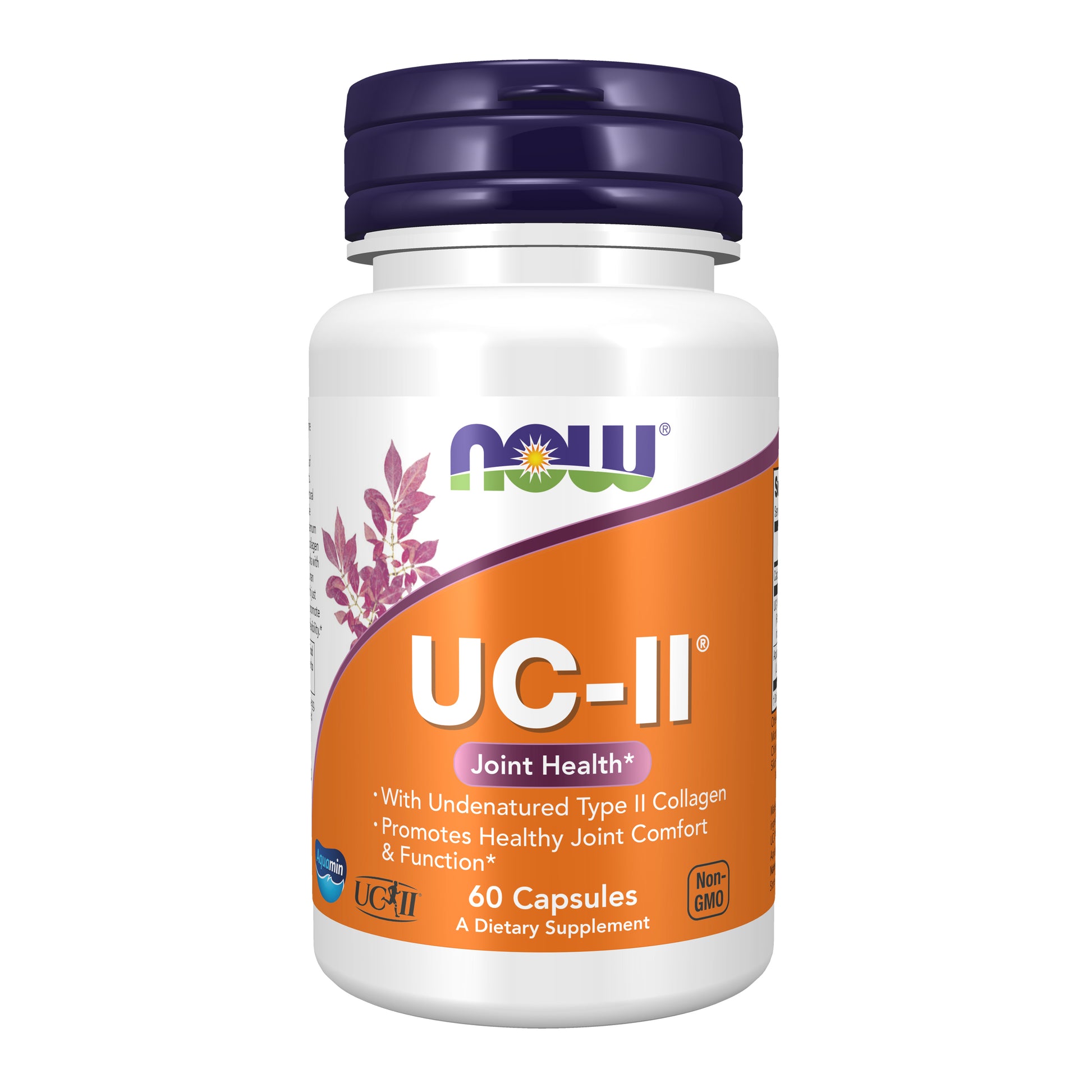 now - uc-ii type ii collagen - 60 veg capsules