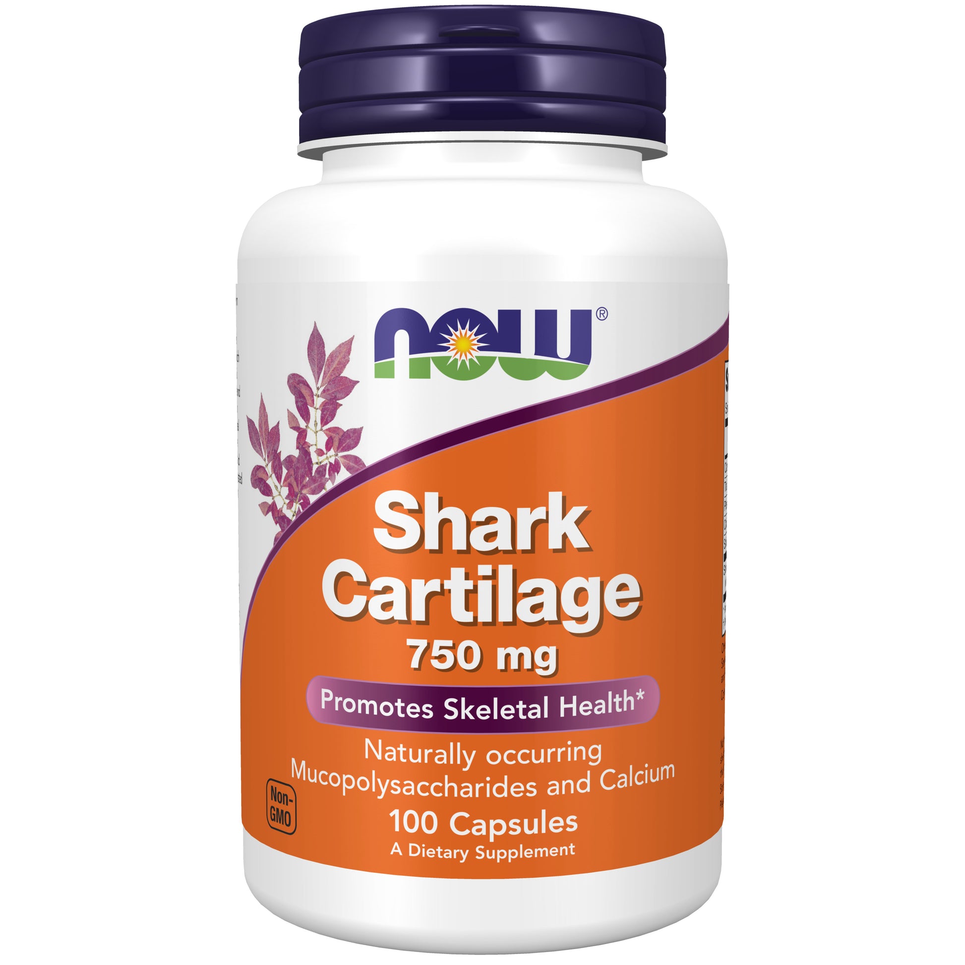 now - shark cartilage 750 mg - 100 capsules