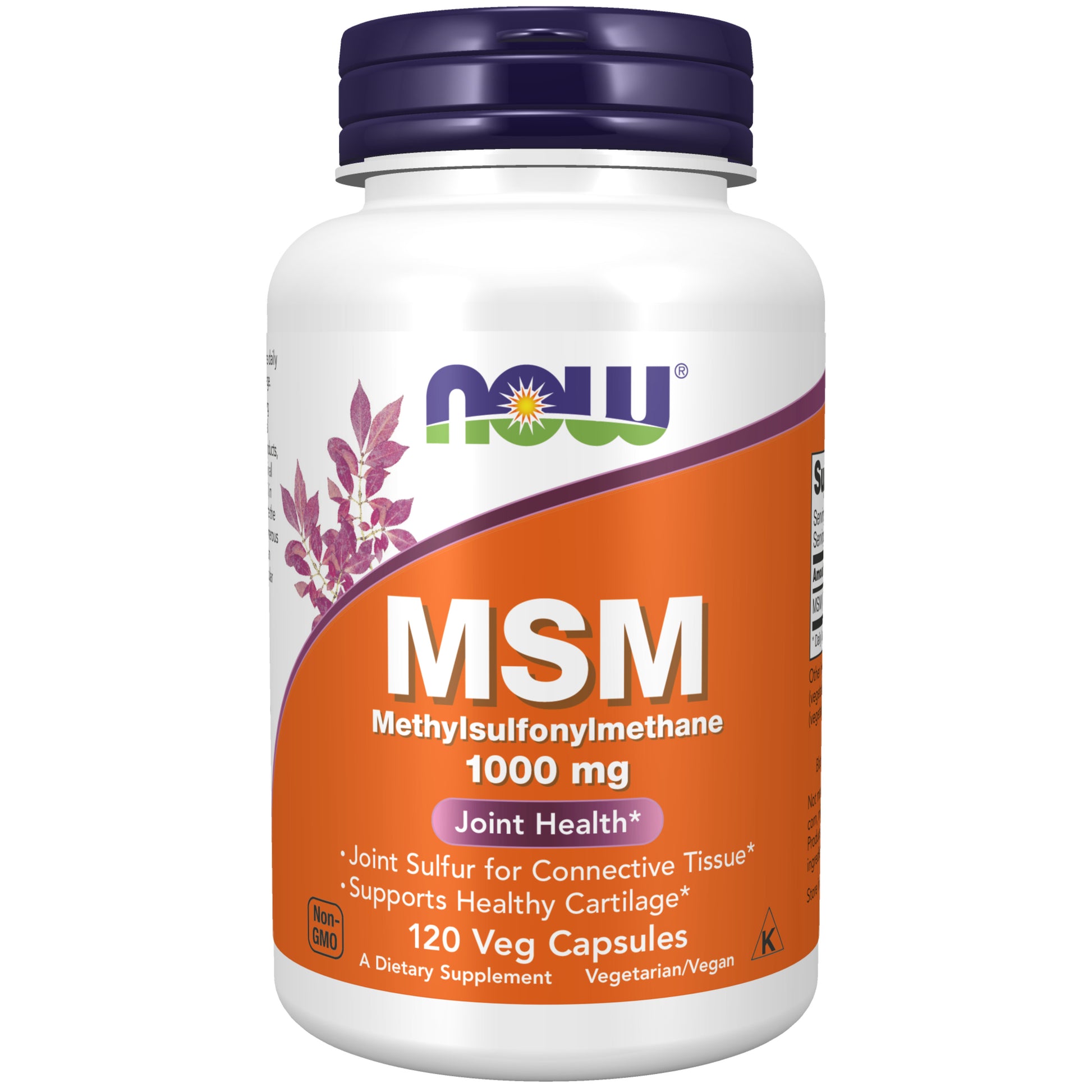 now - msm (methylsulfonylmethane) 1,000 mg - 120 veg capsules