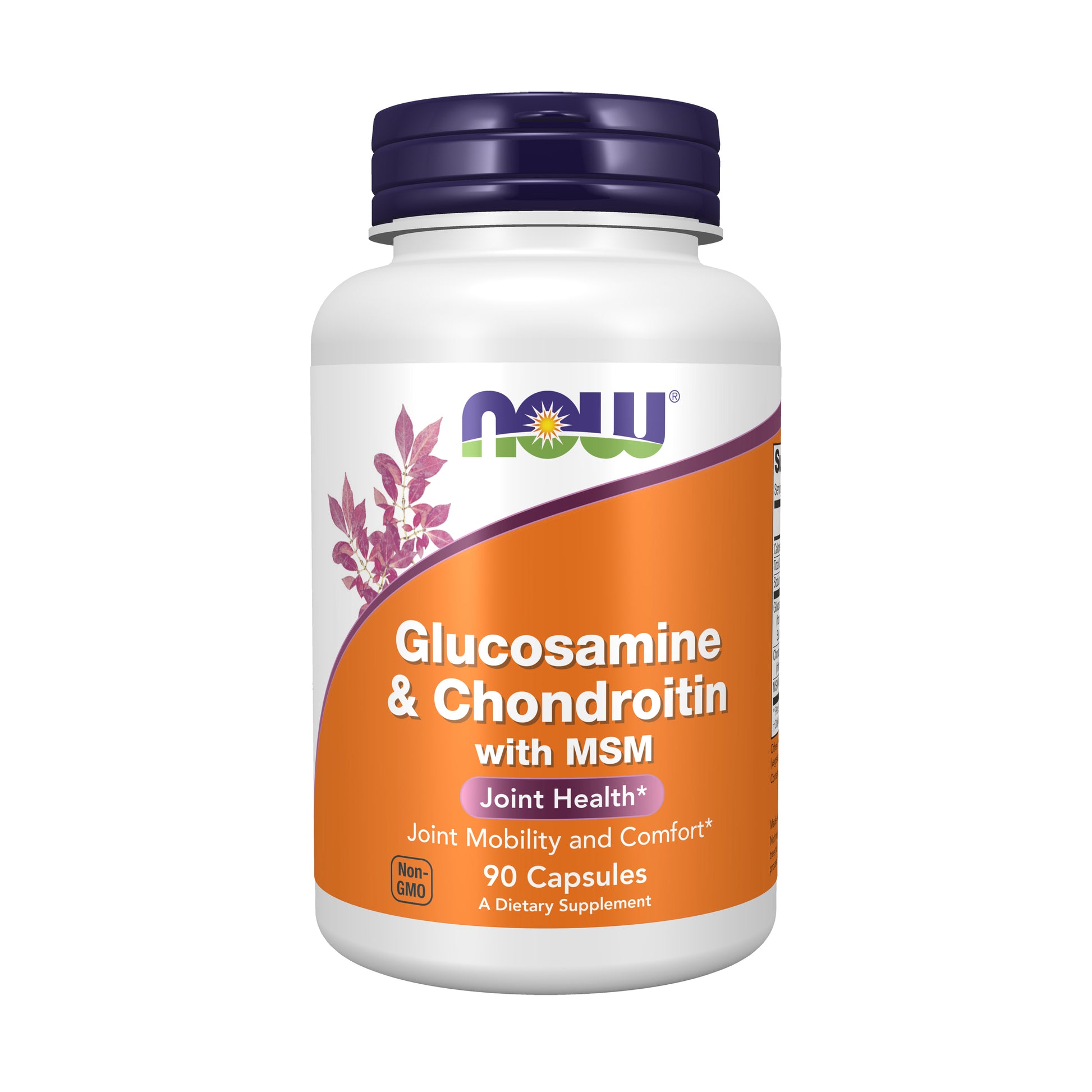 now - glucosamine & chondroitin with msm - 90 veg capsules