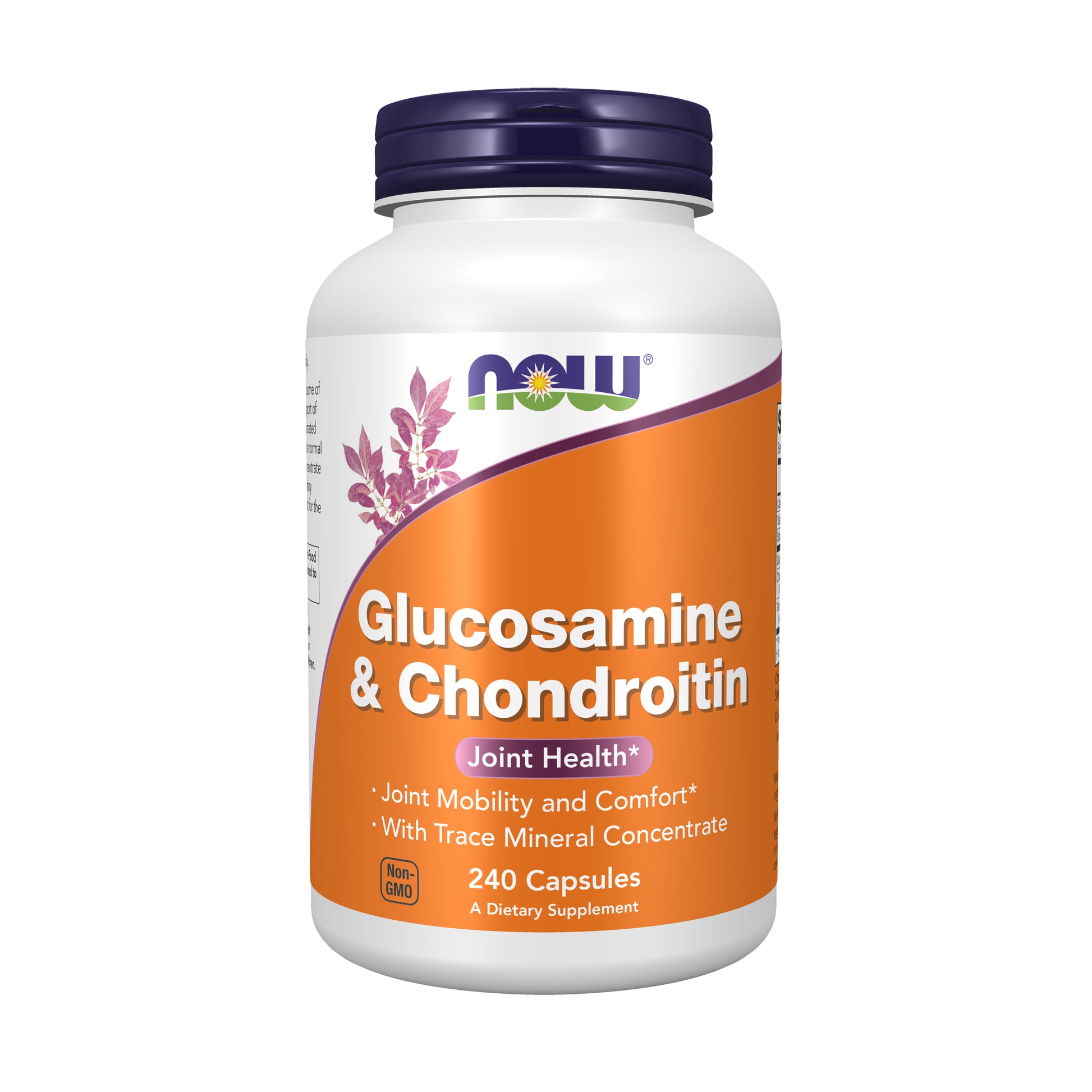 now - glucosamine & chondroitin - 240 capsules