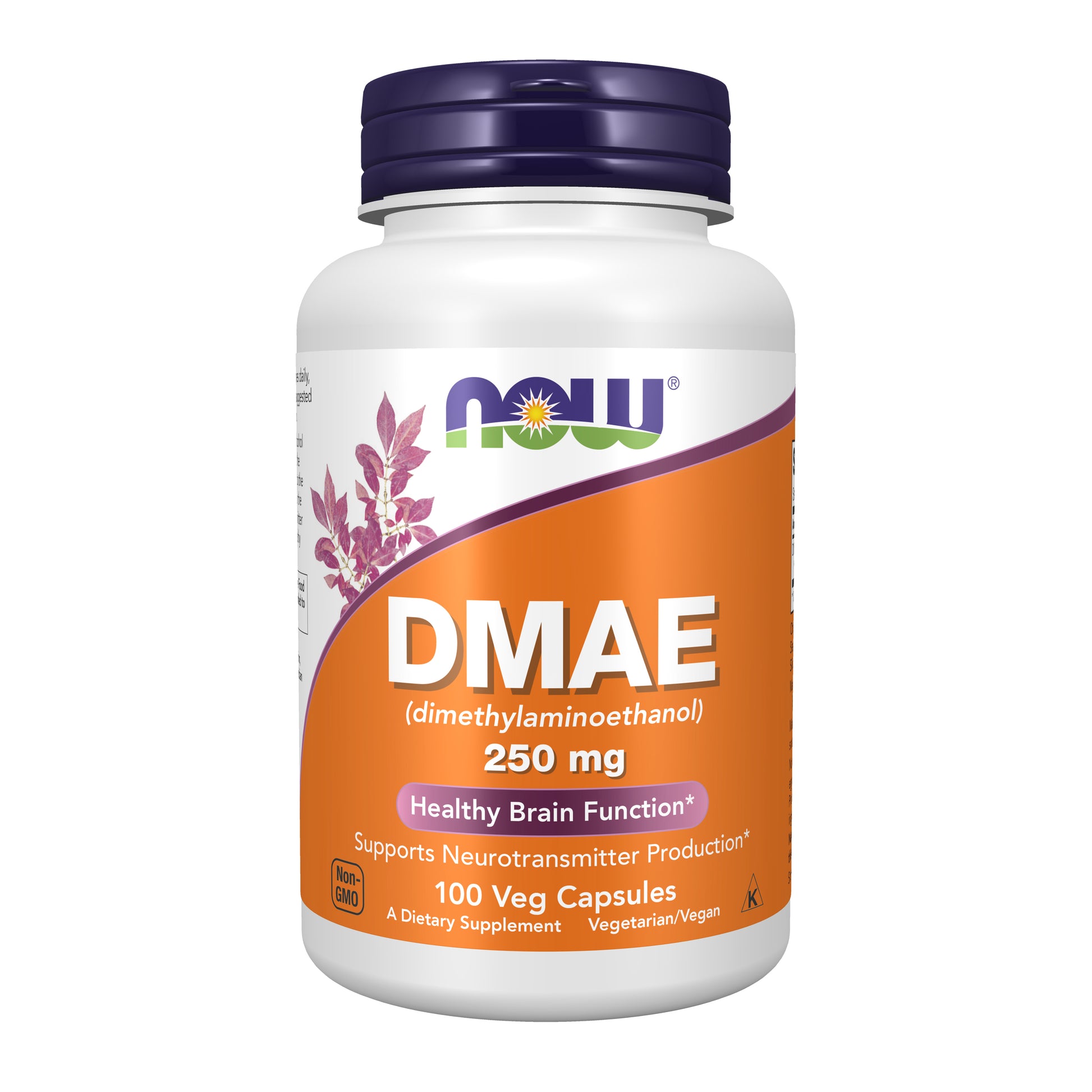 now - dmae 250 mg - 100 veg capsules