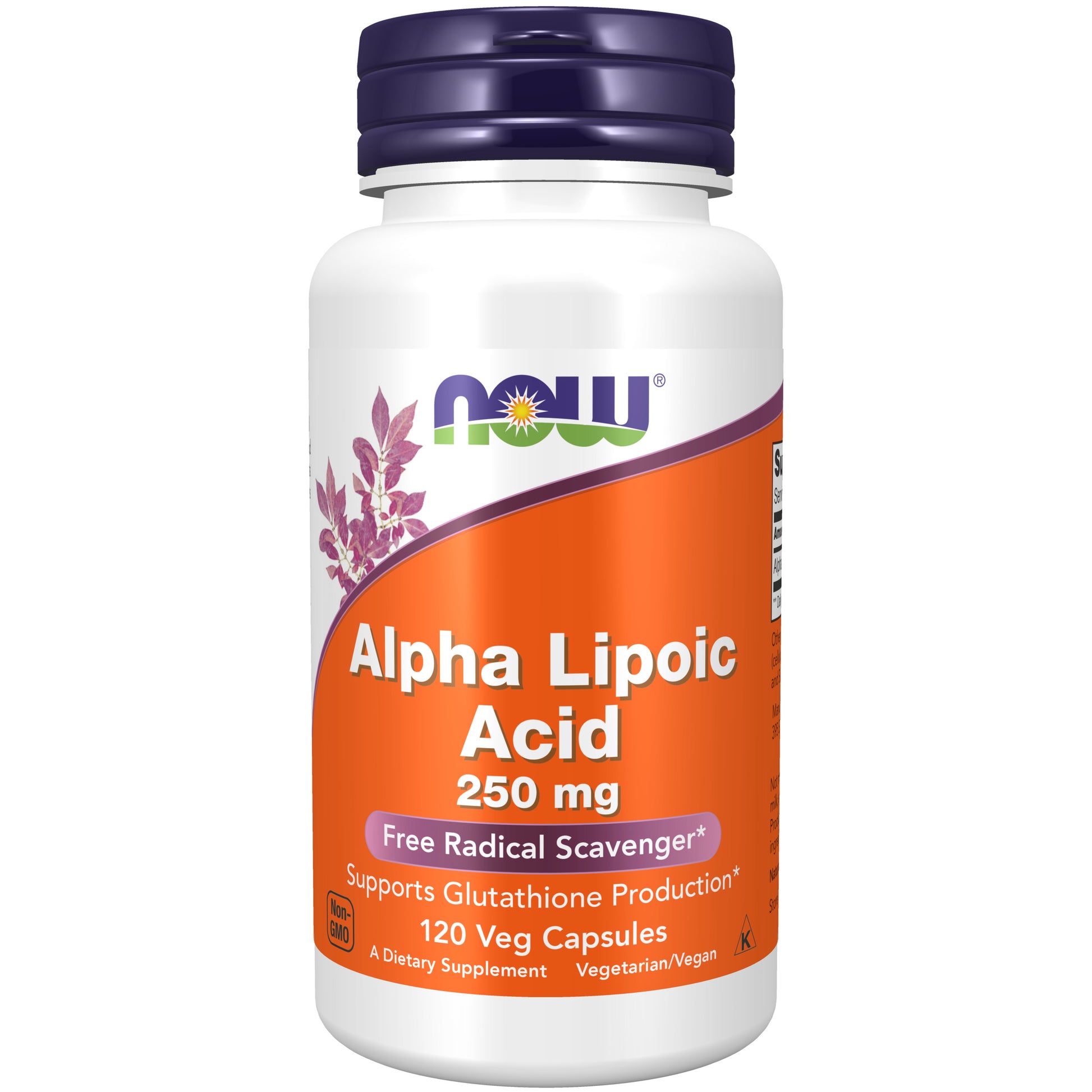 now - alpha lipoic acid 250 mg - 120 veg capsules