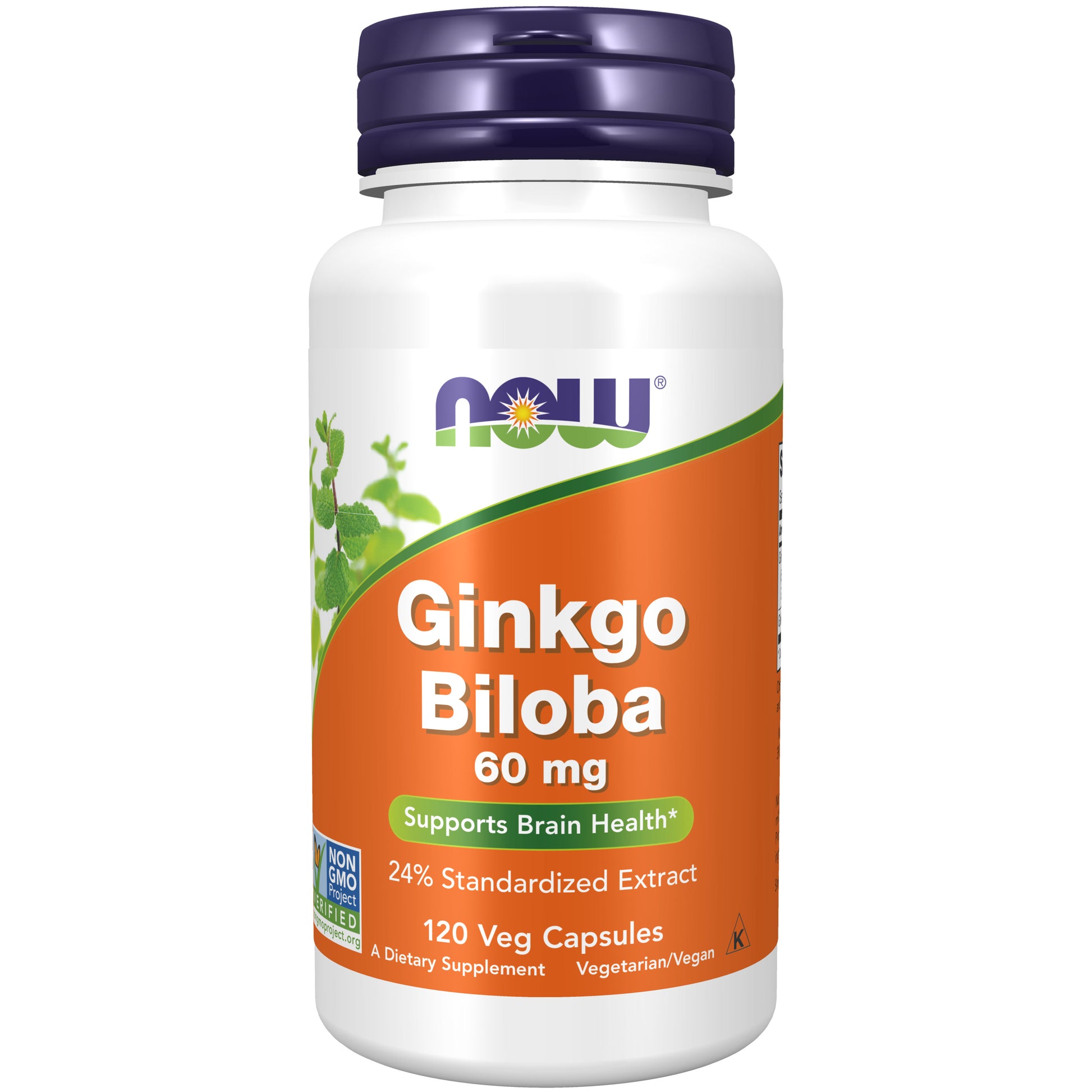now - ginkgo biloba 60 mg - 120 veg capsules