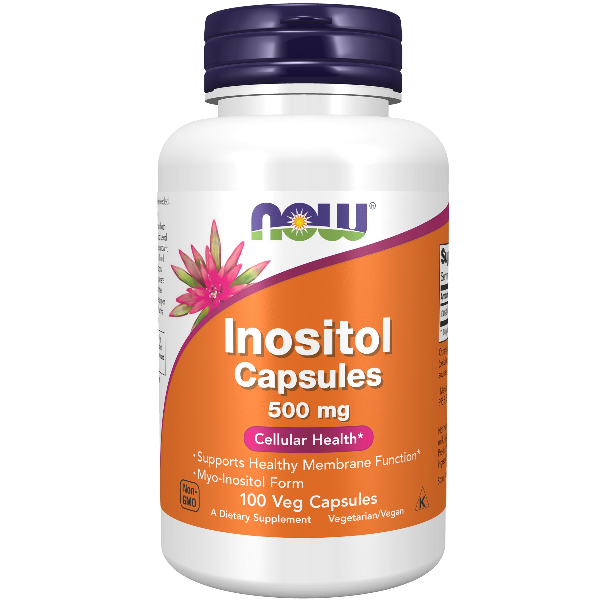 now - inositol 500 mg - 100 veg capsules