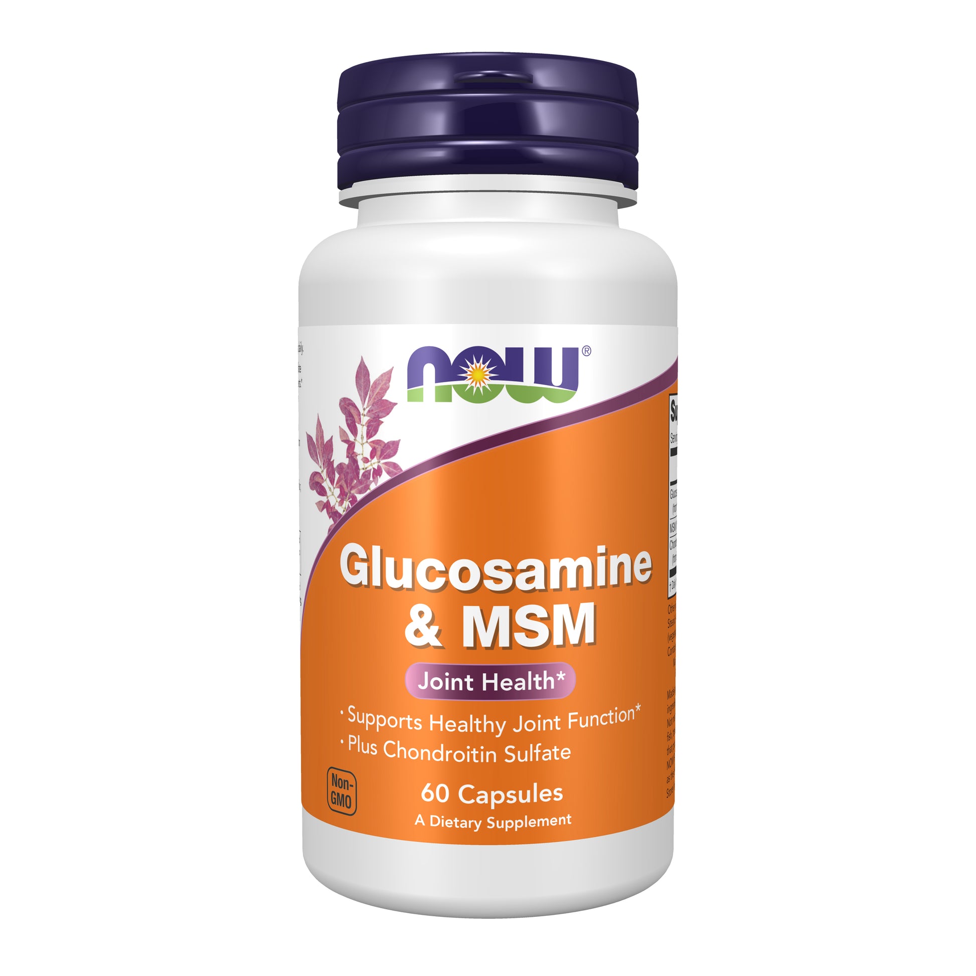 now - glucosamine & msm plus chondroitin sulfate - 60 veg capsules
