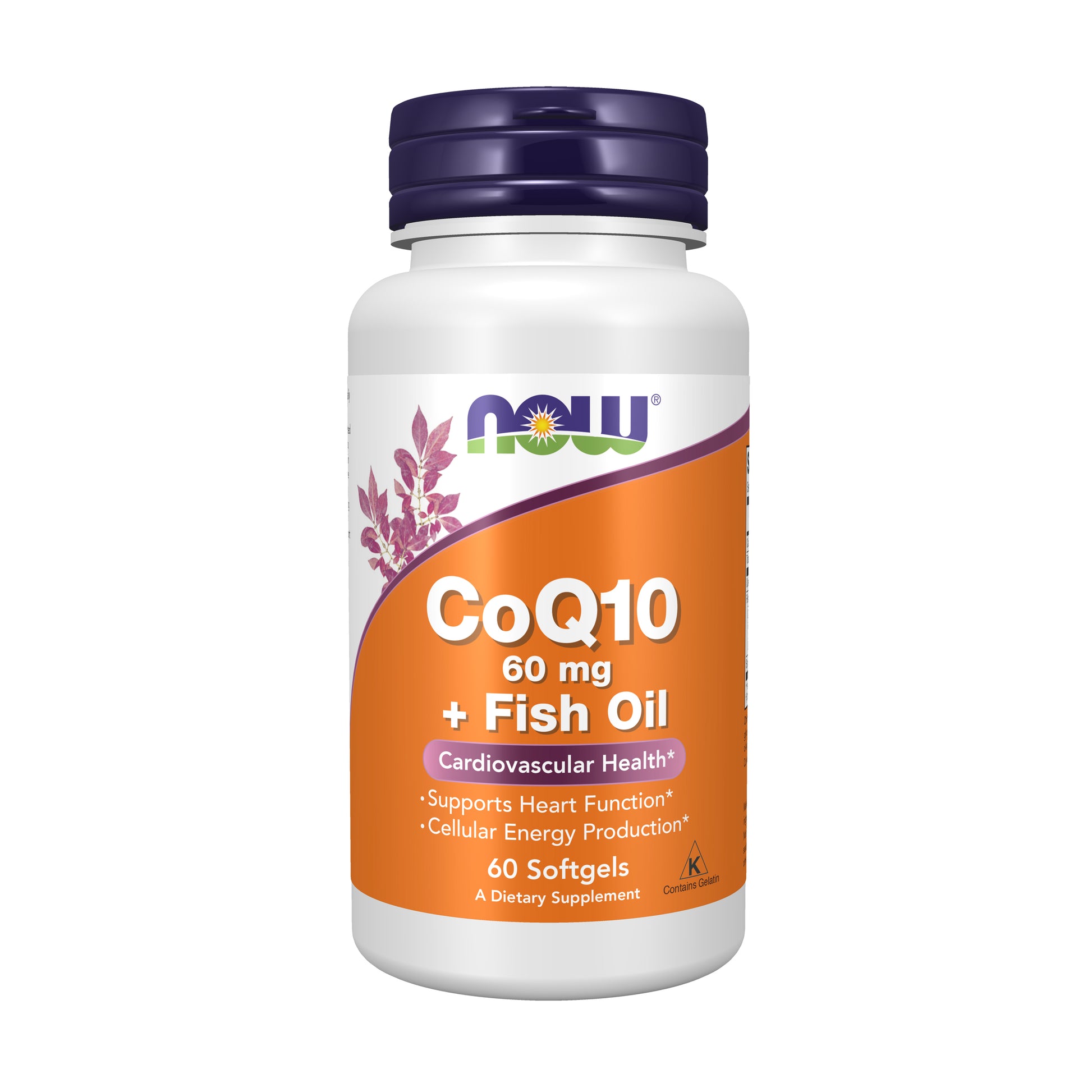 now - coq10 60 mg with omega 3 fish oil - 60 softgels