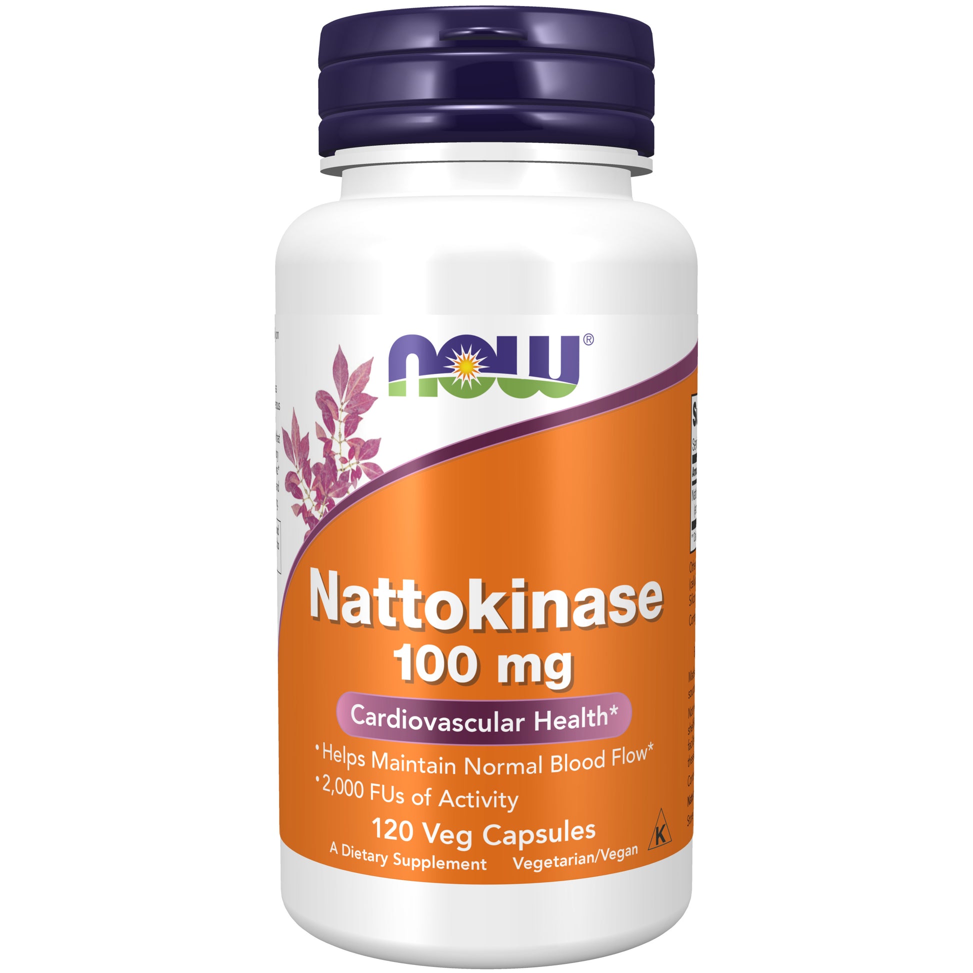 now - nattokinase 100 mg - 120 veg capsules