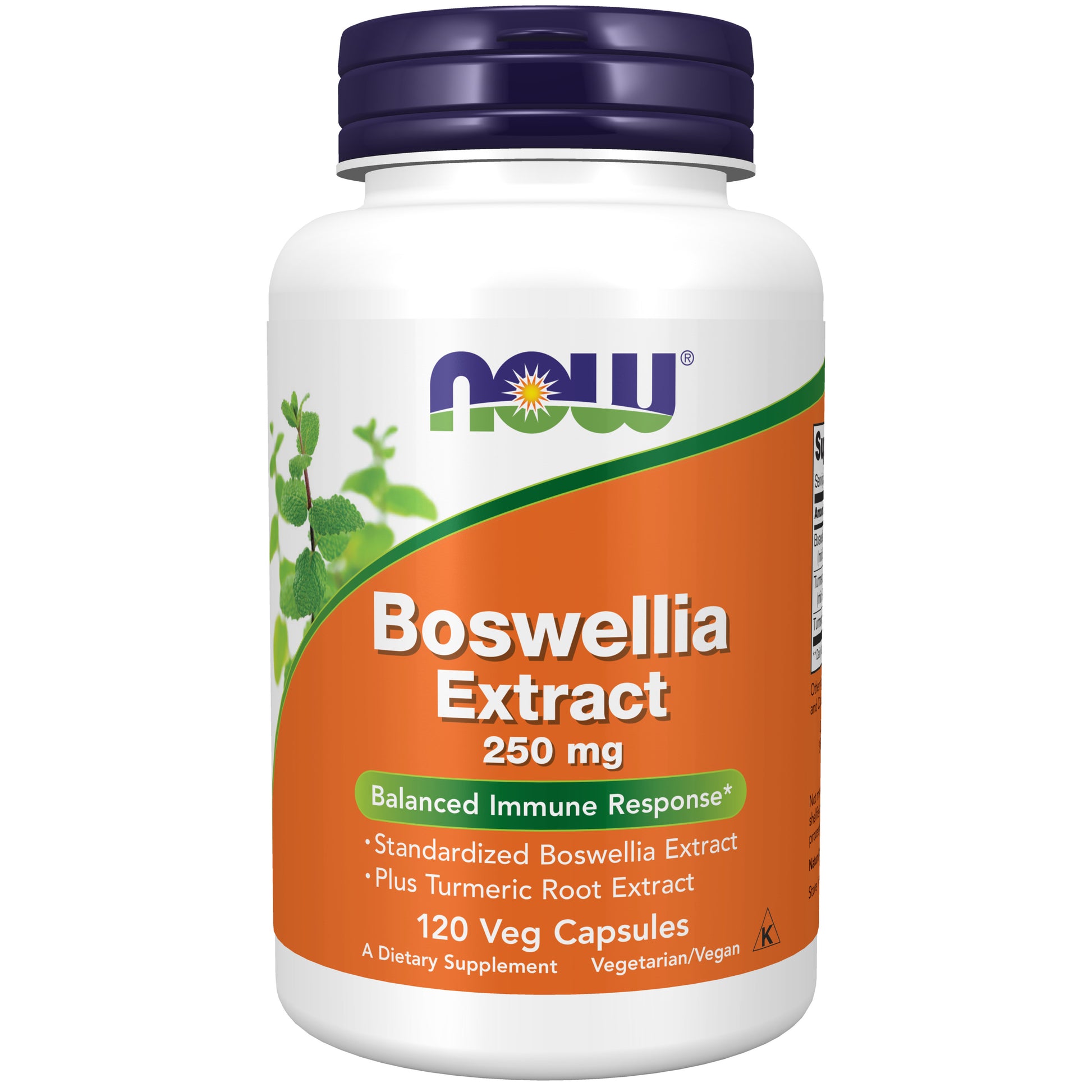 now - boswellia extract 250 mg - 120 veg capsules
