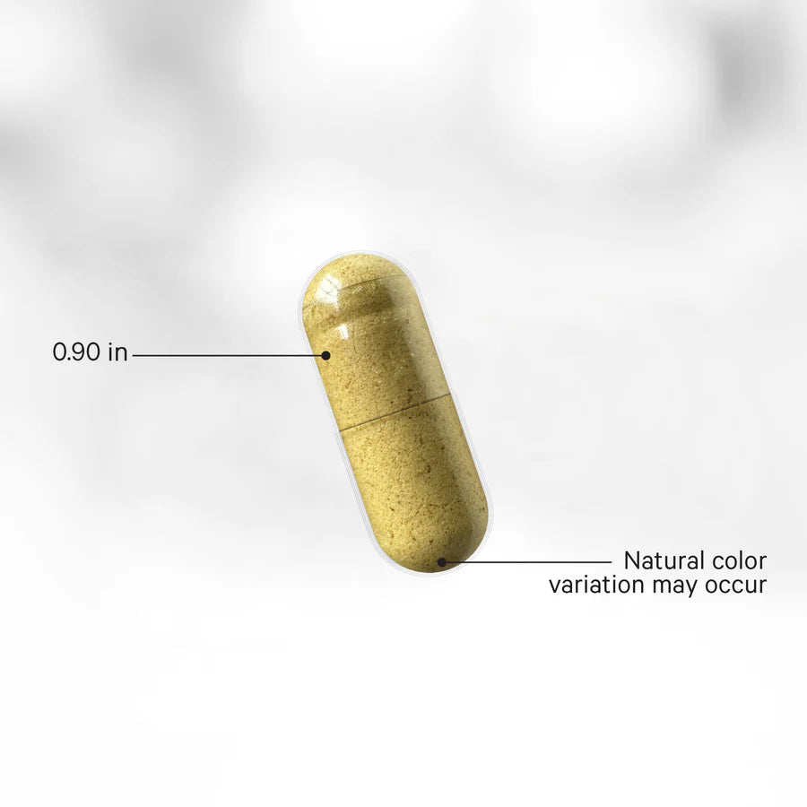 Enzimas digestivas fermentadas+ - 90 cápsulas vegetales - Codeage