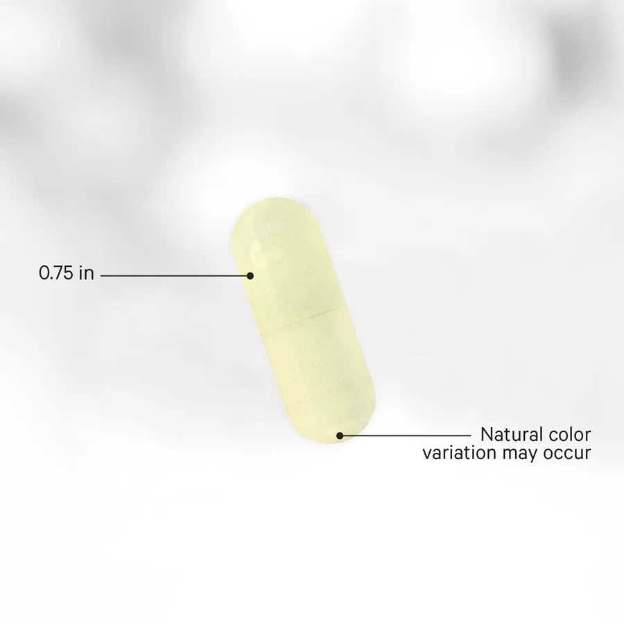 p5p liposomal - 90 cápsulas vegetales - codeage