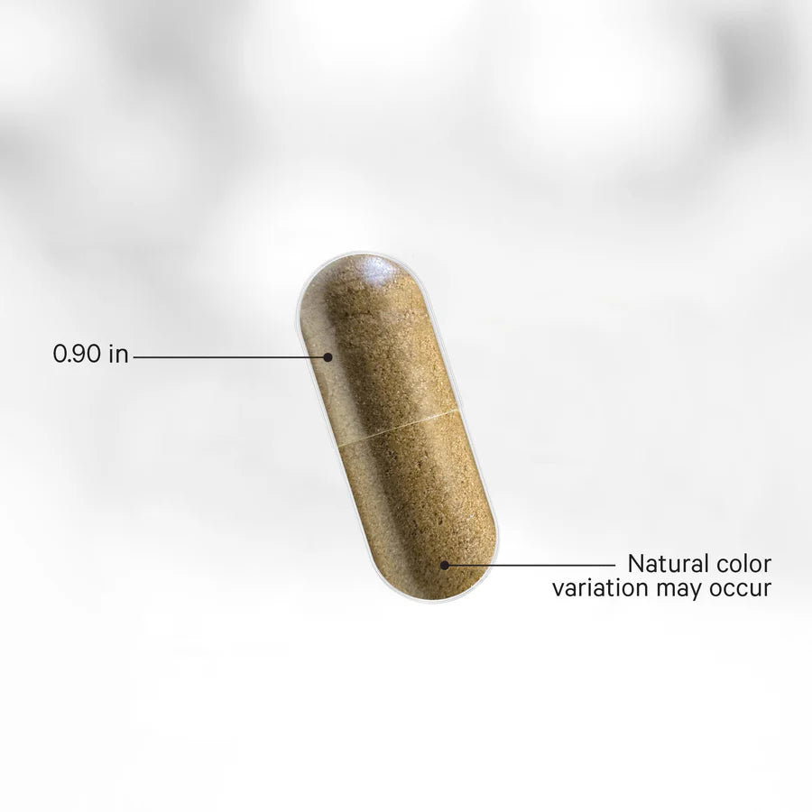 turkesterona liposomal - 120 cápsulas vegetales - codeage