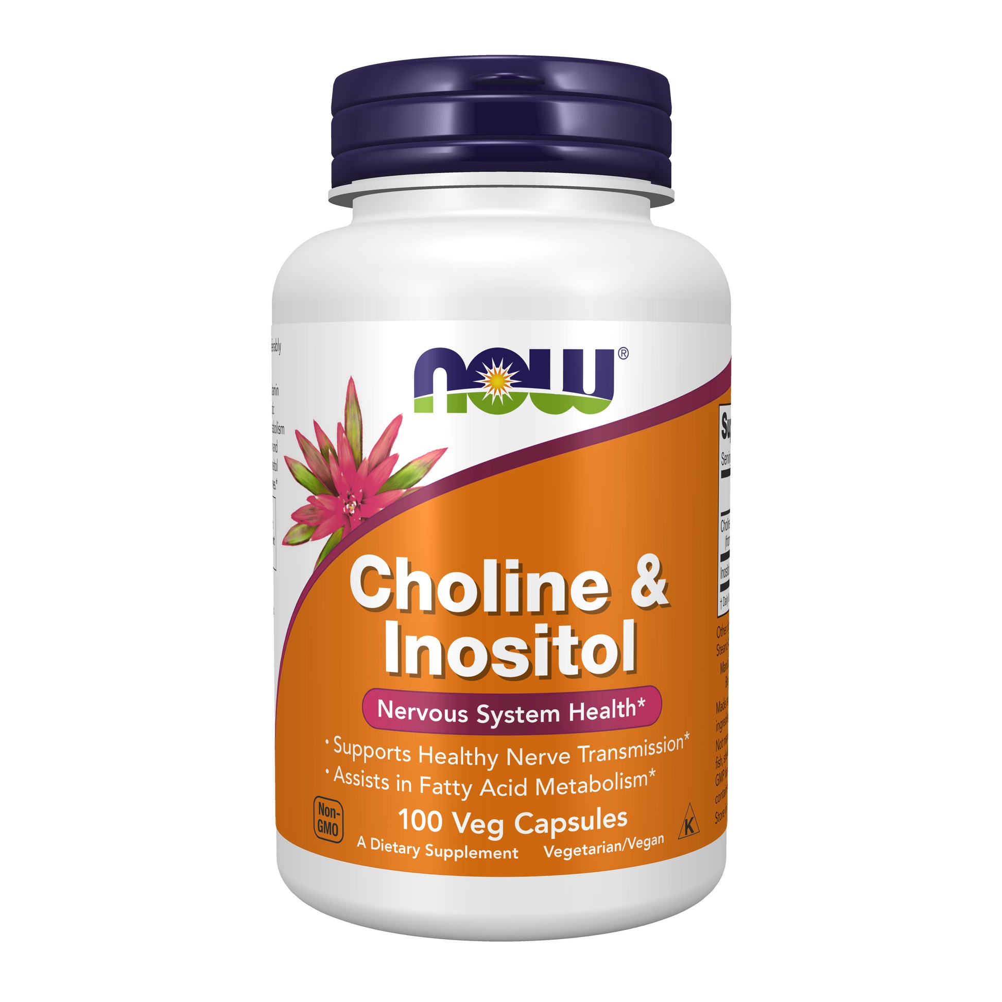 now - choline & inositol 500 mg - 100 capsules