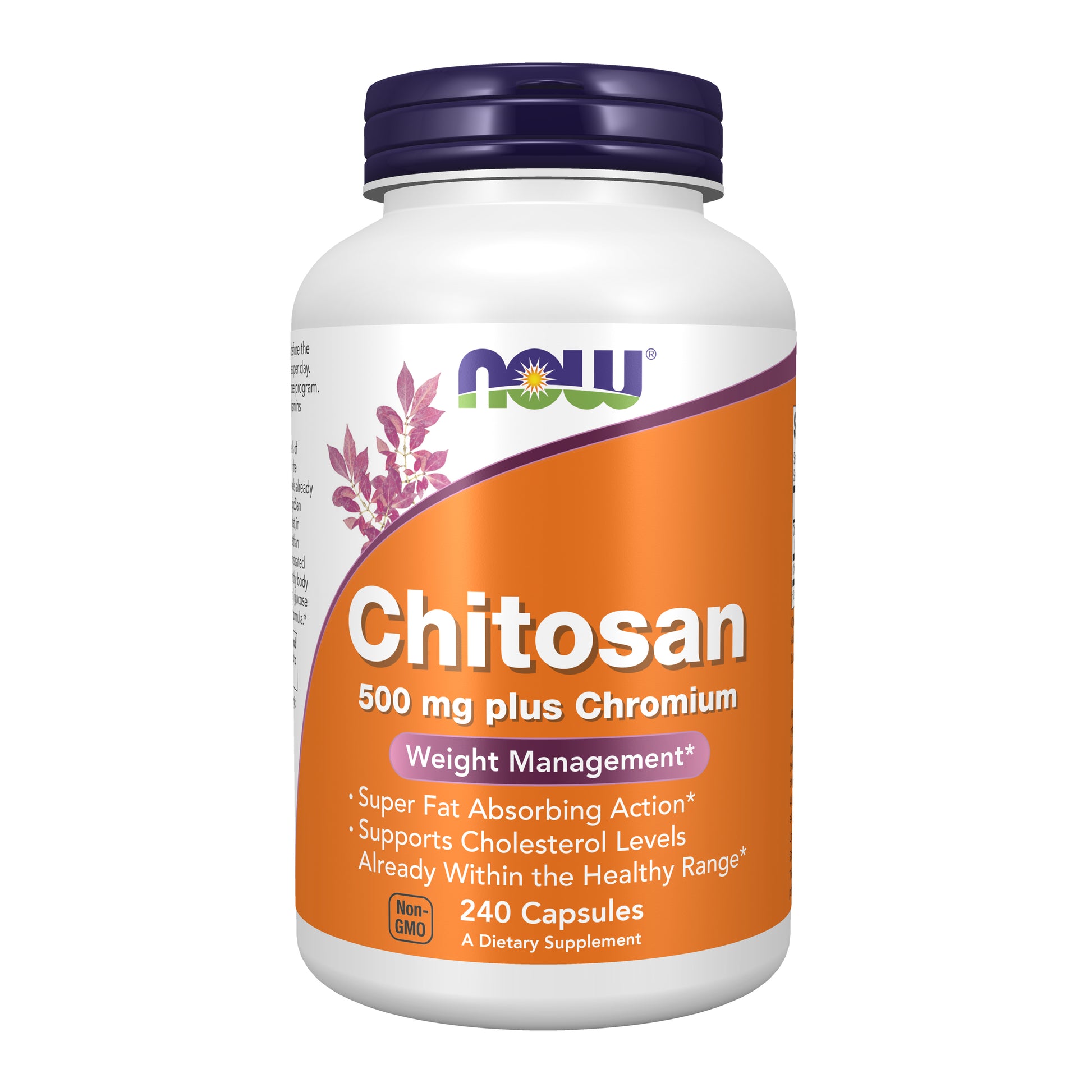 now - chitosan 500 mg plus chromium - 240 veg capsules
