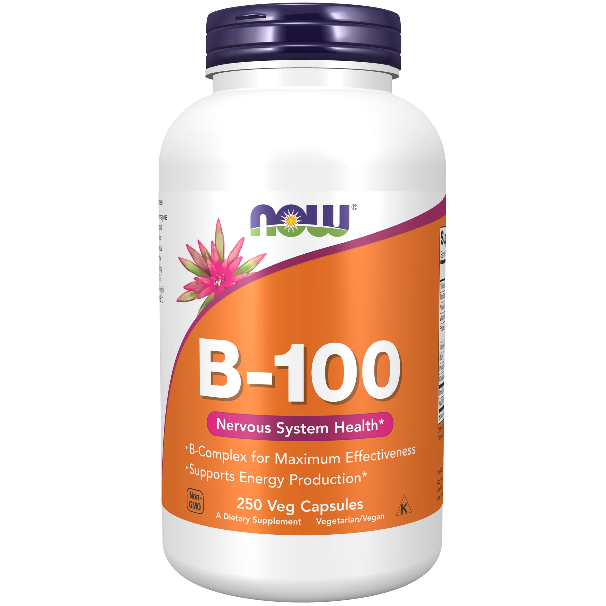now - vitamin b-100 - 250 veg capsules