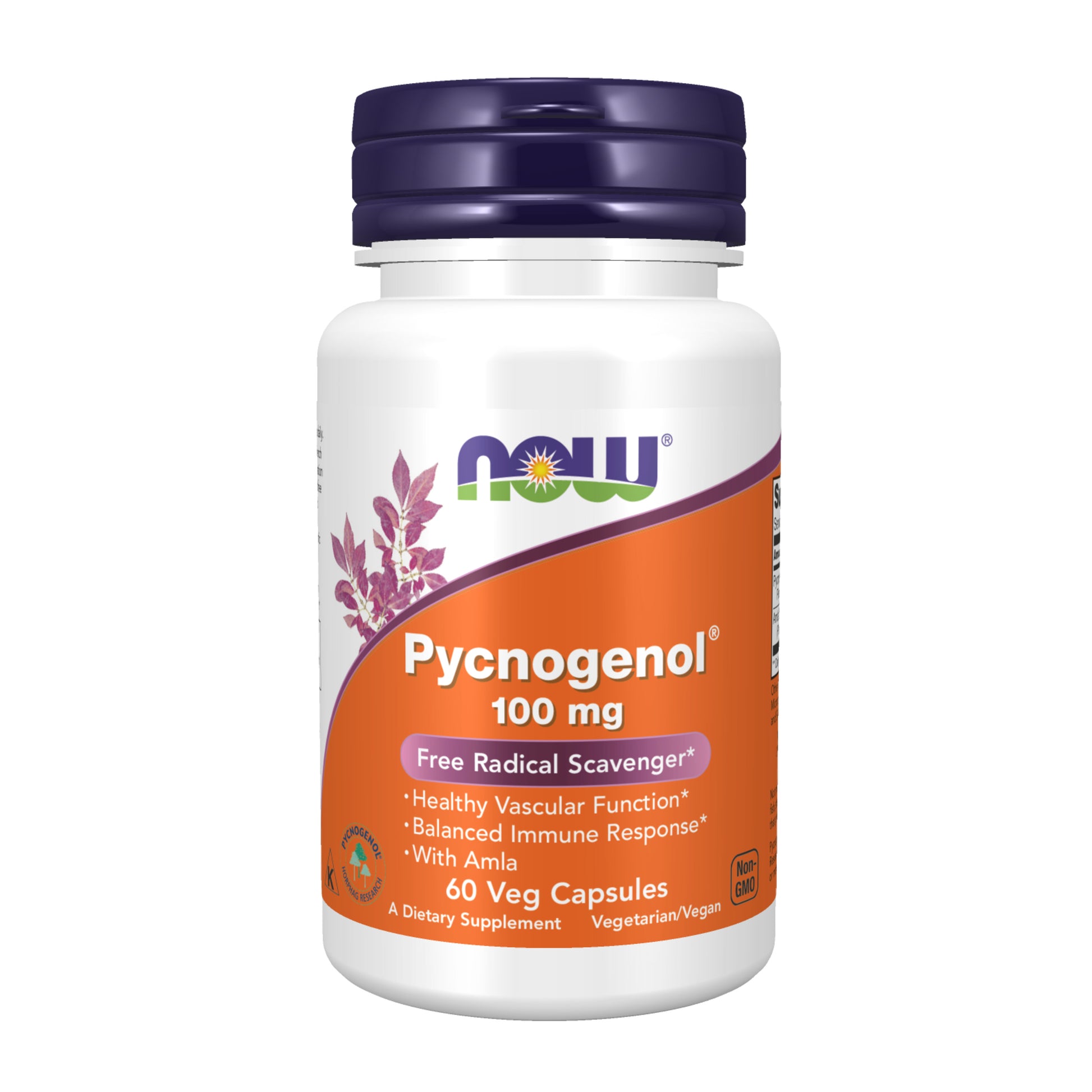 now - pycnogenol 100 mg - 60 veg capsules