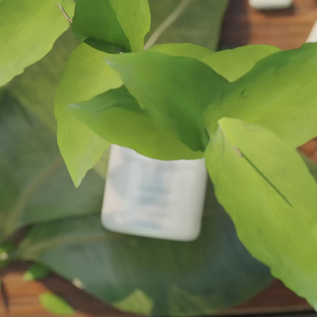 NAD+ liposomal - 60 cápsulas vegetales - Codeage
